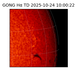 gong - 2025-10-24T10:00:22