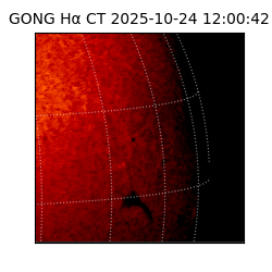 gong - 2025-10-24T12:00:42