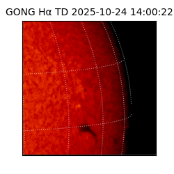 gong - 2025-10-24T14:00:22