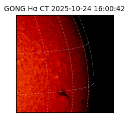 gong - 2025-10-24T16:00:42