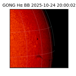 gong - 2025-10-24T20:00:02
