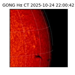gong - 2025-10-24T22:00:42