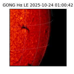 gong - 2025-10-24T01:00:42