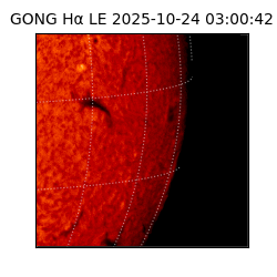 gong - 2025-10-24T03:00:42