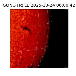 gong - 2025-10-24T06:00:42