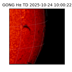 gong - 2025-10-24T10:00:22
