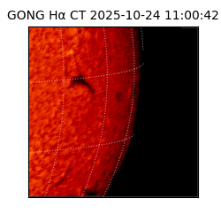 gong - 2025-10-24T11:00:42
