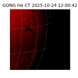 gong - 2025-10-24T12:00:42