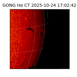 gong - 2025-10-24T17:02:42