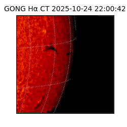gong - 2025-10-24T22:00:42