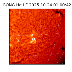 gong - 2025-10-24T01:00:42