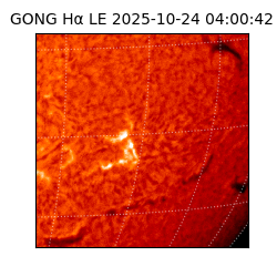 gong - 2025-10-24T04:00:42