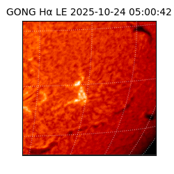 gong - 2025-10-24T05:00:42