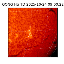 gong - 2025-10-24T09:00:22