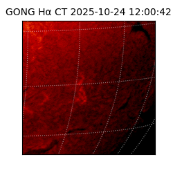 gong - 2025-10-24T12:00:42