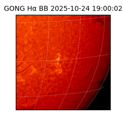 gong - 2025-10-24T19:00:02