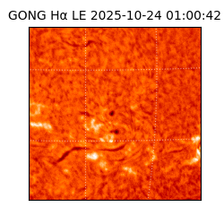 gong - 2025-10-24T01:00:42