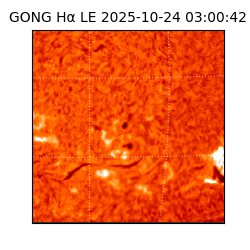 gong - 2025-10-24T03:00:42