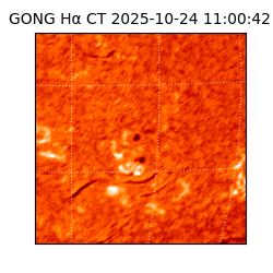 gong - 2025-10-24T11:00:42