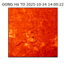 gong - 2025-10-24T14:00:22