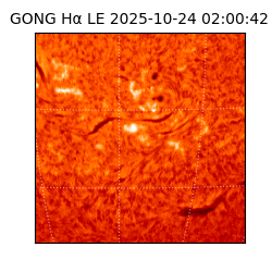 gong - 2025-10-24T02:00:42