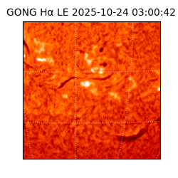 gong - 2025-10-24T03:00:42