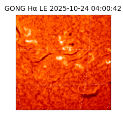 gong - 2025-10-24T04:00:42