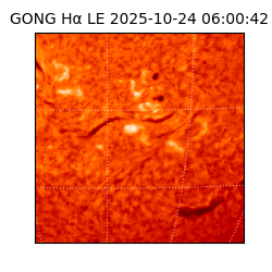 gong - 2025-10-24T06:00:42