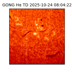gong - 2025-10-24T08:04:22