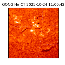 gong - 2025-10-24T11:00:42