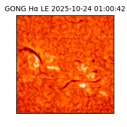 gong - 2025-10-24T01:00:42