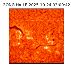 gong - 2025-10-24T03:00:42