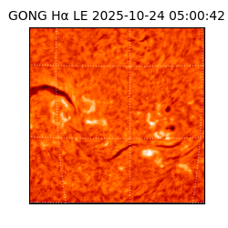 gong - 2025-10-24T05:00:42