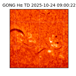 gong - 2025-10-24T09:00:22