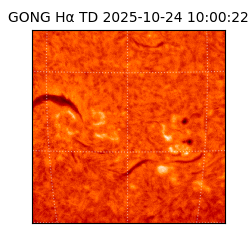 gong - 2025-10-24T10:00:22