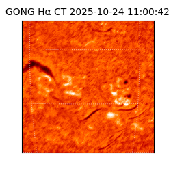 gong - 2025-10-24T11:00:42