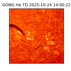 gong - 2025-10-24T14:00:22