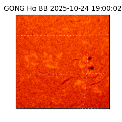 gong - 2025-10-24T19:00:02