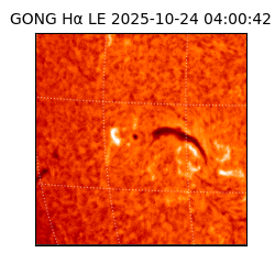 gong - 2025-10-24T04:00:42