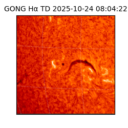 gong - 2025-10-24T08:04:22