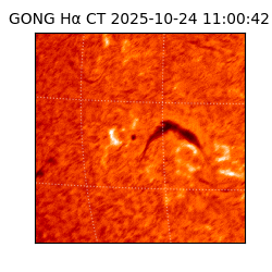 gong - 2025-10-24T11:00:42