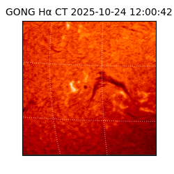 gong - 2025-10-24T12:00:42