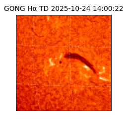 gong - 2025-10-24T14:00:22