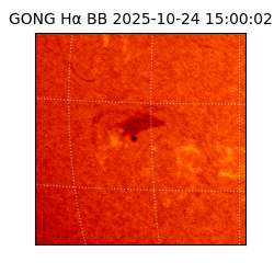 gong - 2025-10-24T15:00:02