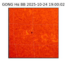 gong - 2025-10-24T19:00:02