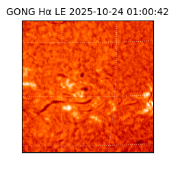 gong - 2025-10-24T01:00:42