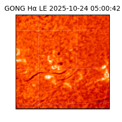 gong - 2025-10-24T05:00:42