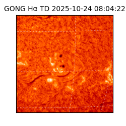 gong - 2025-10-24T08:04:22