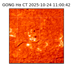 gong - 2025-10-24T11:00:42