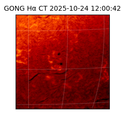 gong - 2025-10-24T12:00:42